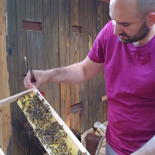 Peter Rauscher mit Bienenwabe in der Hand